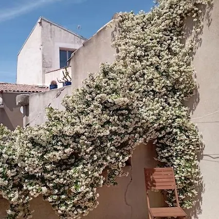 Appartement Duplex La Terrasse Jasmin Mèze