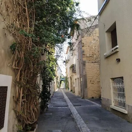 Duplex La Terrasse Jasmin Lejlighed Mèze