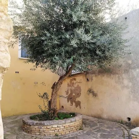 Lejlighed Duplex La Terrasse Jasmin *