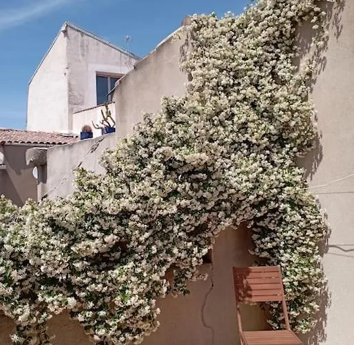 アパート Duplex La Terrasse Jasmin メーズ