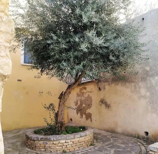 アパート Duplex La Terrasse Jasmin *